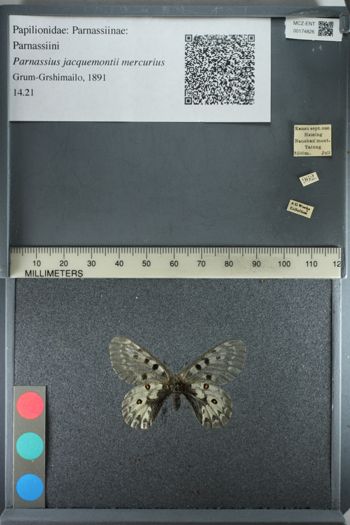 Media type: image;   Entomology 174826